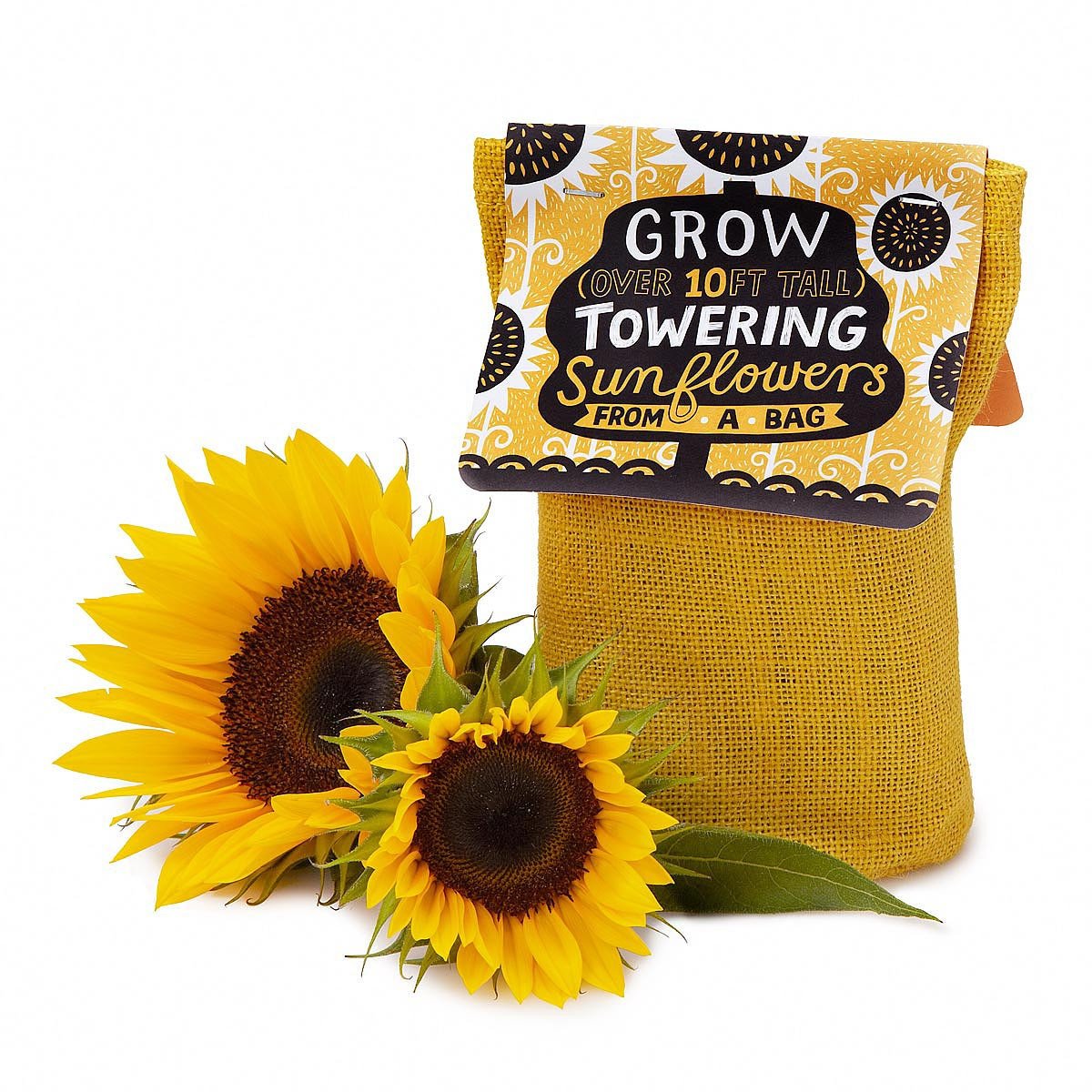 Sunflower in a Bag Grow Kit